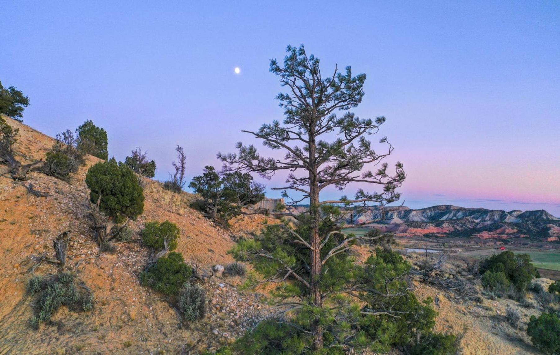 Clear Sky Resorts - Bryce Canyon - Unique Stargazing Domes Cannonville Eksteriør billede